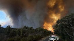 Kebakaran Hutan Hebat Landa Izmir, Turki: Api Mengganas di Hari Kedua, Ribuan Dievakuasi